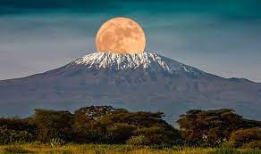 Kilimanjaro: A Journey To The Roof Of Africa