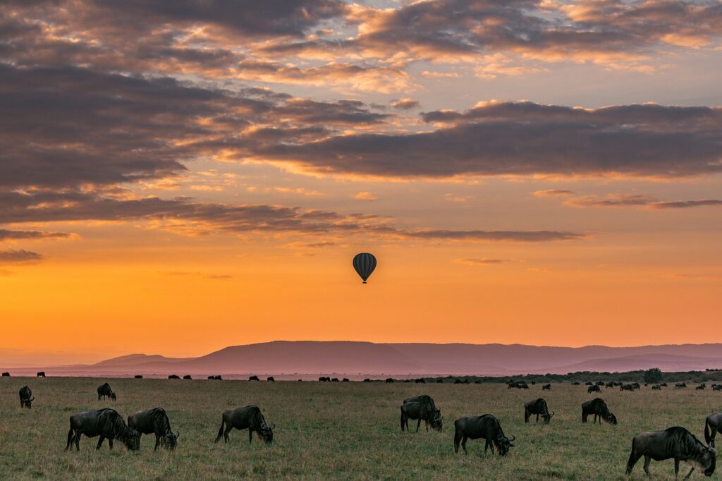 Discovering Africa: The Fascination Of Safari Destinations For Millions